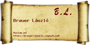 Brauer László névjegykártya